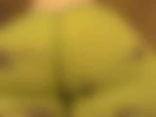gabbyhaze's Live Sex Cam Show