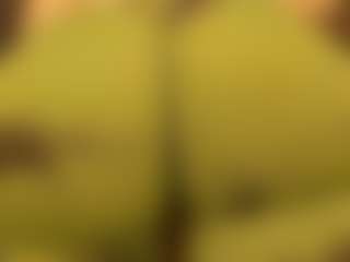 gabbyhaze's Live Sex Cam Show