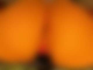 gabbyhaze's Live Sex Cam Show