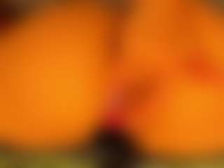 gabbyhaze's Live Sex Cam Show