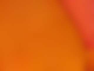 gabbyhaze's Live Sex Cam Show
