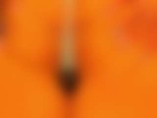 gabbyhaze's Live Sex Cam Show