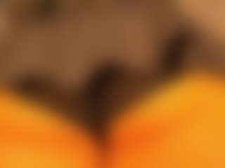 gabbyhaze's Live Sex Cam Show