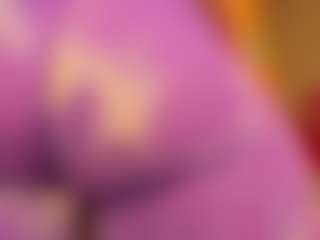 gabbyhaze's Live Sex Cam Show