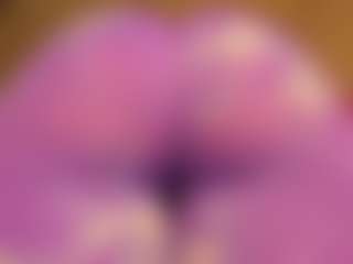 gabbyhaze's Live Sex Cam Show