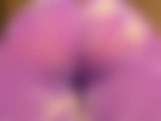 gabbyhaze's Live Sex Cam Show