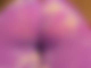 gabbyhaze's Live Sex Cam Show
