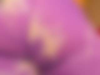 gabbyhaze's Live Sex Cam Show