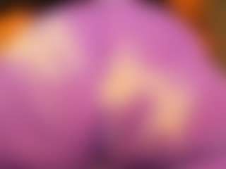 gabbyhaze's Live Sex Cam Show