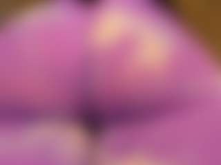 gabbyhaze's Live Sex Cam Show