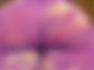 gabbyhaze's Live Sex Cam Show
