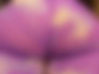 gabbyhaze's Live Sex Cam Show