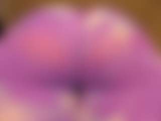 gabbyhaze's Live Sex Cam Show
