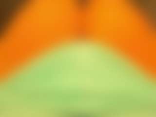 gabbyhaze's Live Sex Cam Show