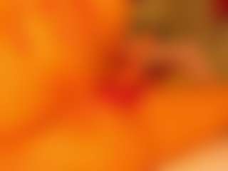 gabbyhaze's Live Sex Cam Show