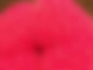 gabbyhaze's Live Sex Cam Show