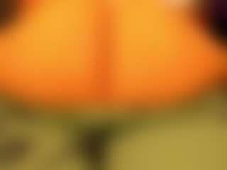 gabbyhaze's Live Sex Cam Show