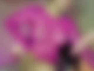 Dani-Moore's Live Sex Cam Show