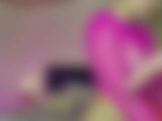 Dani-Moore's Live Sex Cam Show