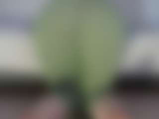 Live cam show with angelinaloves - Athletic Brown Eyes on AdultVida.com