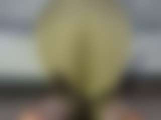 angelinaloves's Live Sex Cam Show