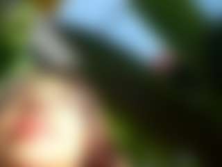 Anna Maria's Live Sex Cam Show