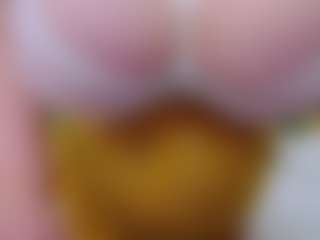 happyalice's Live Sex Cam Show