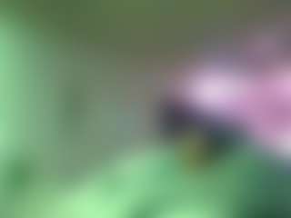 Live cam show with antonettekiki - Bedroom Black on googirlz