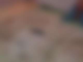 Lady Brown's Live Sex Cam Show
