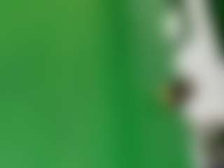 lesly Moore's Live Sex Cam Show
