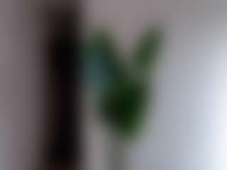 Ashley Rous's Live Sex Cam Show
