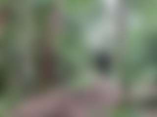 Ashley Rous's Live Sex Cam Show