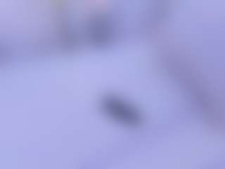 Dakota Blare's Live Sex Cam Show