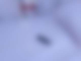 Dakota Blare's Live Sex Cam Show