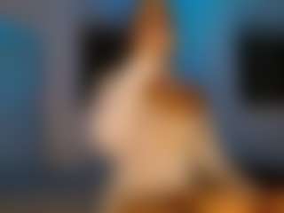Sicily Deluxe's Live Sex Cam Show