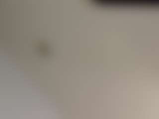 TasteThePeach's Live Sex Cam Show