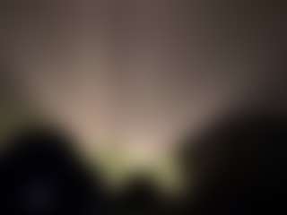 CSD's Live Sex Cam Show