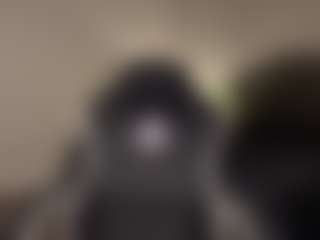CSD's Live Sex Cam Show