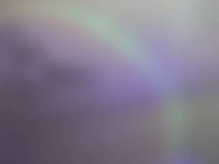 CSD's Live Sex Cam Show