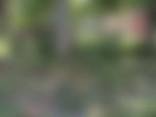 Jessica Simpsin's Live Sex Cam Show