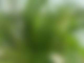 Scarlett Horny's Live Sex Cam Show