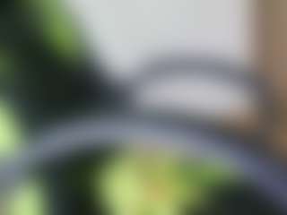 emma-ruiz's Live Sex Cam Show