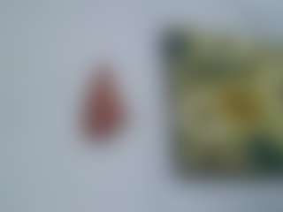 AmberAlena's Live Sex Cam Show