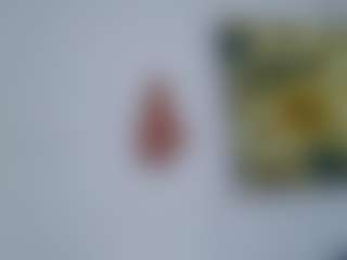 AmberAlena's Live Sex Cam Show