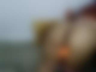 AmberAlena's Live Sex Cam Show