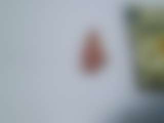 AmberAlena's Live Sex Cam Show