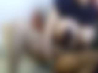 AmberAlena's Live Sex Cam Show