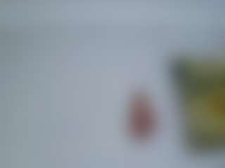 AmberAlena's Live Sex Cam Show
