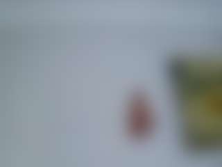 AmberAlena's Live Sex Cam Show