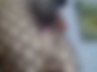 AmberAlena's Live Sex Cam Show